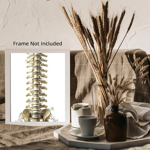 Posterizer 1 pcs-detailed anatomical illustration of the human spinal column 4-Teachers & Classrooms-Abstract & Modern Art-School and classroom ar...